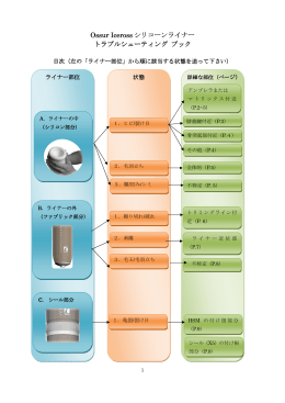 「アイスロス シリコーンライナー」トラブルシューティングブック（PDFファイル）