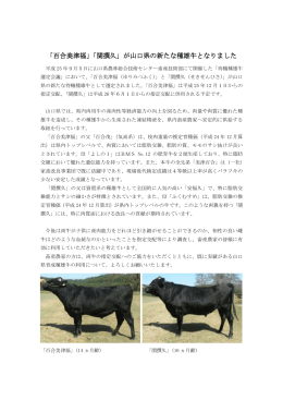 「百合美津福」「関撰久」が山口県の新たな種雄牛となりました が山口県
