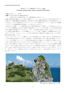 参加者、発表一覧等の詳細（PDF）