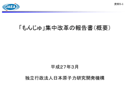 「もんじゅ」集中改革の報告書（概要）