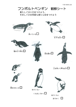 千葉市動物公園 フンボルトペンギン 観察シート 見たしぐさに  をつけよう。
