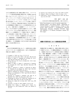 細菌の形態形成における細胞壁造形機構