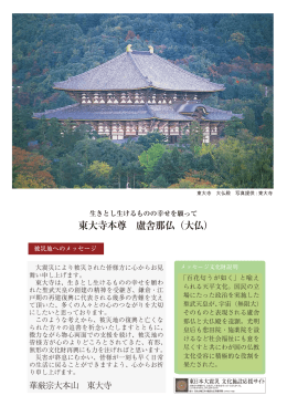 東大寺本尊 盧舎那仏（大仏）