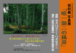 ～樹々の息づかい 風の声が聞こえる～