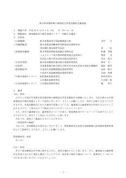 栃木県 議事録（PDF：205KB）