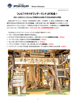 ついに「ドキドキワンダーランド」が完成！