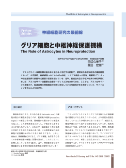 グリア細胞と中枢神経保護機構