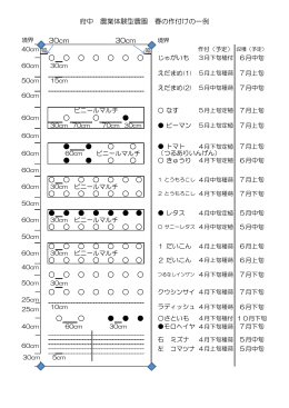 春の作付図(一例) （PDF：58KB）