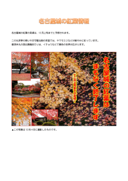 名古屋城の紅葉の見頃は、12 月上旬までと予想されます。 二の丸茶亭