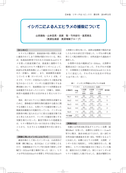 イシガニによる人工ヒラメの捕食について