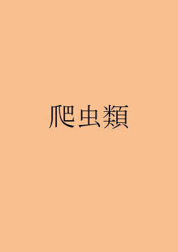 爬虫類（P78～P83）（PDF形式：763KB）
