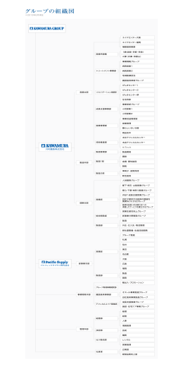 川村義肢株式会社 - KAWAMURAグループ