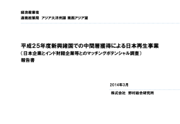 平成25年度新興諸国での中間層獲得による日本再生事業