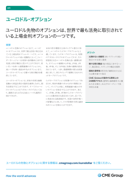 ファクトシートを読む - CME Group