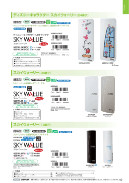 スカイウォーリー（24素子）