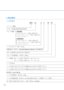 E. 型式表示 - PMI & AMT