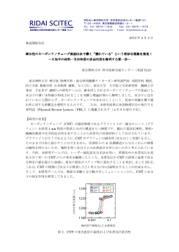 疎水性のカーボンナノチューブ表面は水で薄く&ldquo;濡れている&rdquo;という奇妙な