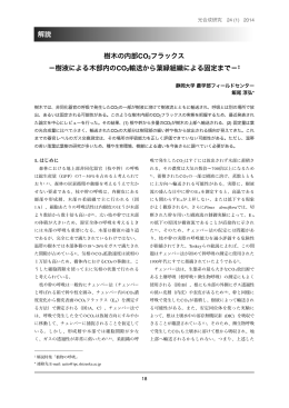 樹木の内部CO2フラックス &minus;樹液による木部内のCO2輸送から葉緑組織