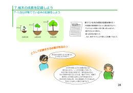 7.樹木の成長を記録しよう（PDF 878KB