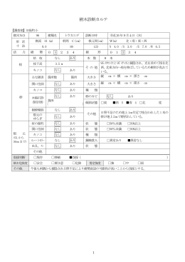 樹木診断カルテ [PDFファイル／165KB]