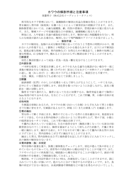 カワウの解剖手順と注意事項