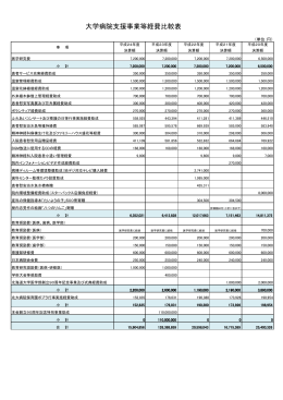 大学病院支援事業等経費比較表