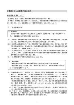 経費区分ごとの経費内容の説明 補助対象経費について