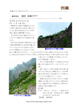 広谷川湯沢高頭スラブ、覚道沢