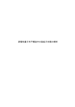 誘電性量子井戸構造中の励起子状態の解析