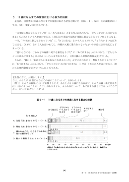18歳になるまでの家庭における暴力の経験 [PDF:746KB]