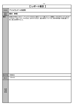 【レポート項目】