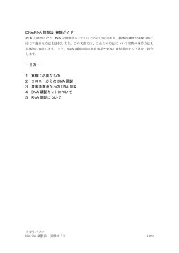 DNA/RNA調製法 実験ガイド