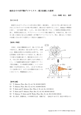 紐状分子の非平衡ダイナミクス：張力伝播と大変形