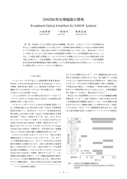 全文pdf（78KB）