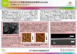 カルコゲナイド系層状物質高品質薄膜のMBE成長 NTT物性科学基礎