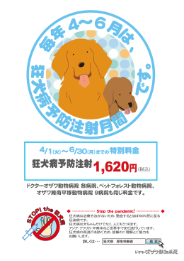 毎 年 4～6月は - ドクターオザワ動物病院