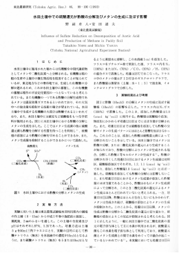 水田土壌中での硫酸還元が酢酸の分解及びメタンの生成に及ぼす影響