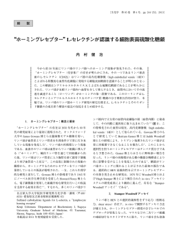 &ldquo;ホーミングレセプター&rdquo;L-セレクチンが認識する細胞表面硫酸化糖鎖