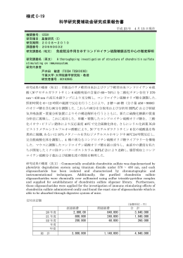 様式 C-19 科学研究費補助金研究成果報告書 - KAKEN