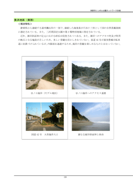表浜地区（東部） （PDF 955.9KB）