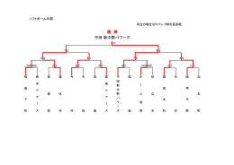 優 勝 平田 新中野パワーズ