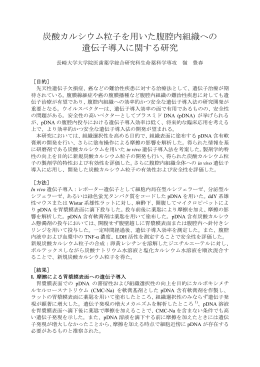 炭酸カルシウム粒子を用いた腹腔内組織への 遺伝子導入