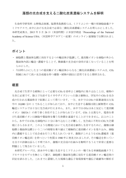 藻類の光合成を支える二酸化炭素濃縮システムを解明 ポイント 概要