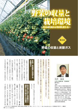 野菜の収量と 栽培環境