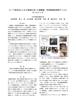 20 ロープ採材法による口腔液を用いた豚繁殖・呼吸障害症候群ウイルス
