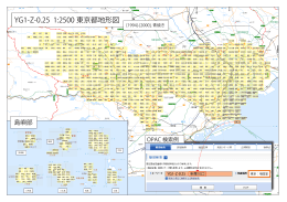 YG1-Z-0.25 1:2500 東京都地形図