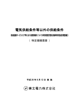 電気供給条件等以外の供給条件（特定規模需要）