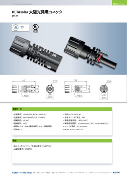 BETAsolar PsBo-X ジャンクションボックス