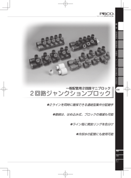 2回路ジャンクションブロック