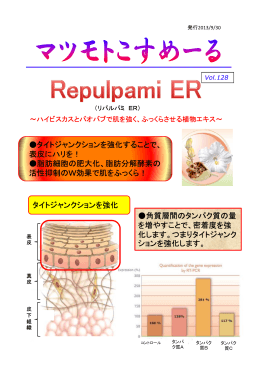タイトジャンクションを強化することで、 表皮にハリを！ 脂肪細胞の肥大化